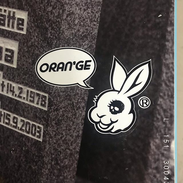 ORANGE_cle_snow's tweet photo. 👀!
.
#ORANGE
#ORANGECLE
#orange_cle 
#SNOWBOARD 
#SNOW 
#オレンジ 
#スノーボード
#マッドバニー
#ニューステッカー
#madbunny 
#new 
#久しぶりの投稿 https://t.co/B35XGtukWq