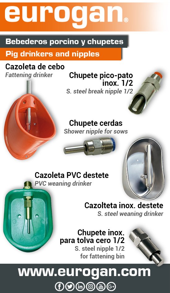✅ goo.gl/AiofL8 🌐 eurogan@eurogan.com
#Bebederos y #chupetes para #porcino / #Drinkers and #nipples for #porcine
#ganaderia #livestock #pig #cerdo #eurogan #Fattening