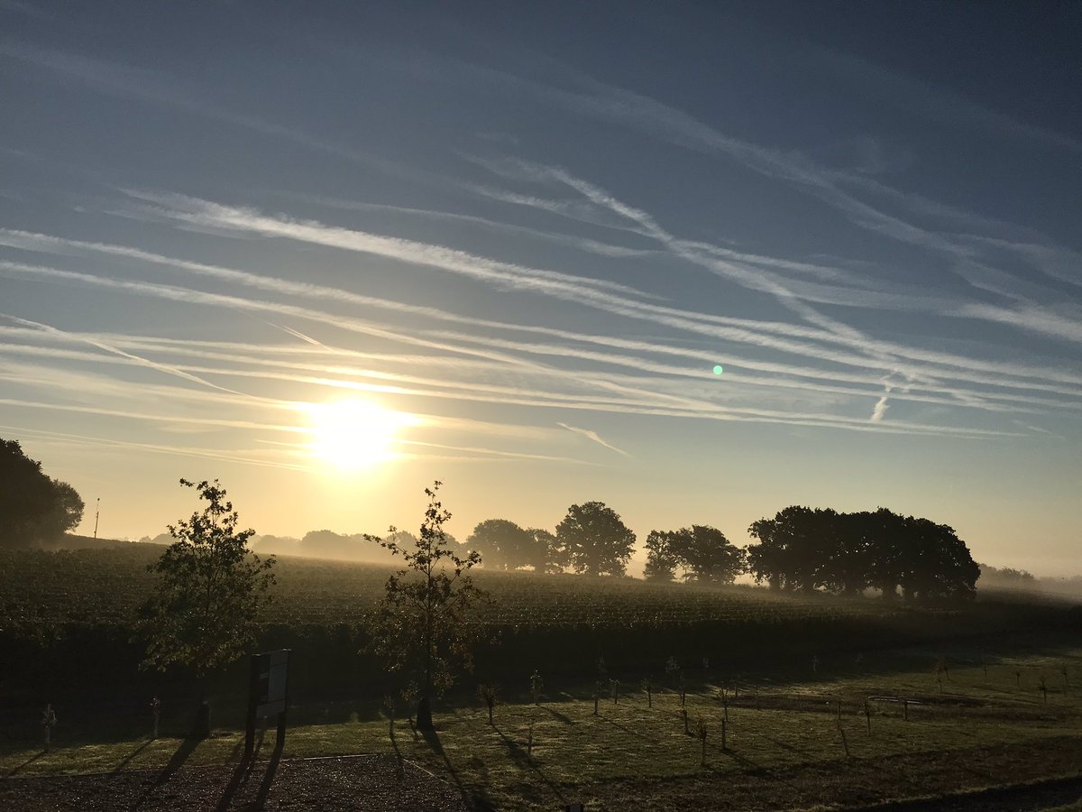 Charlie Holland tweet media