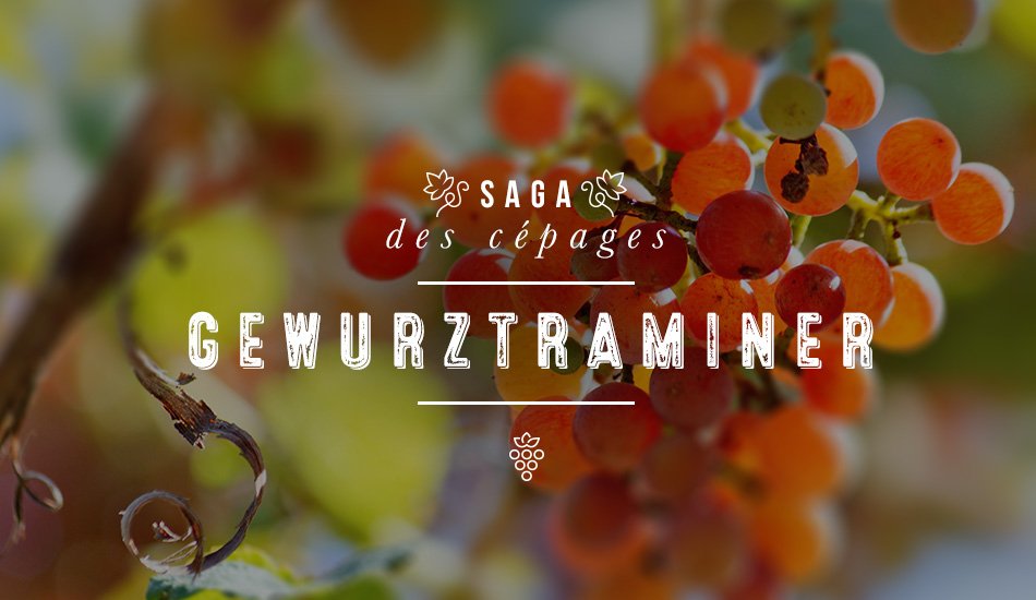 WineMorning 🍷⚡️ tweet media