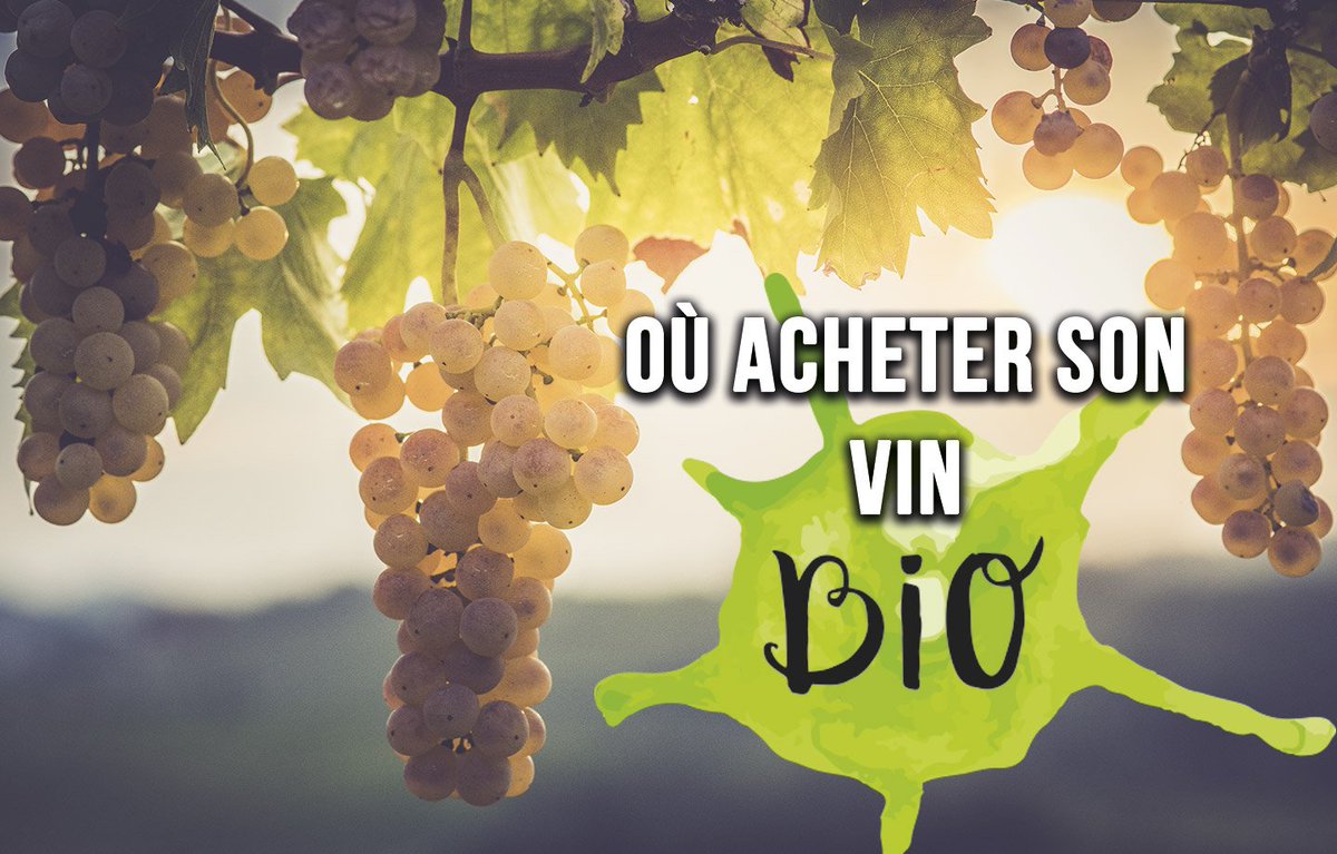 Toutlevin & PLUS tweet media