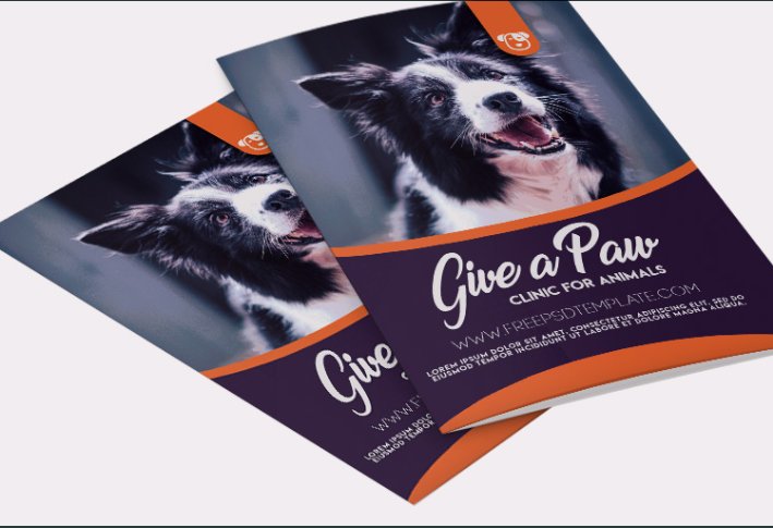 NavyTheme's tweet photo. Friends! Feel free to download this Clinic For Animal #Bifold #Brochure PSD Template and create a professional and interesting presentation. You’ll love it for sure! 
https://t.co/o7vojtyx6W https://t.co/2SOSXChlJ6