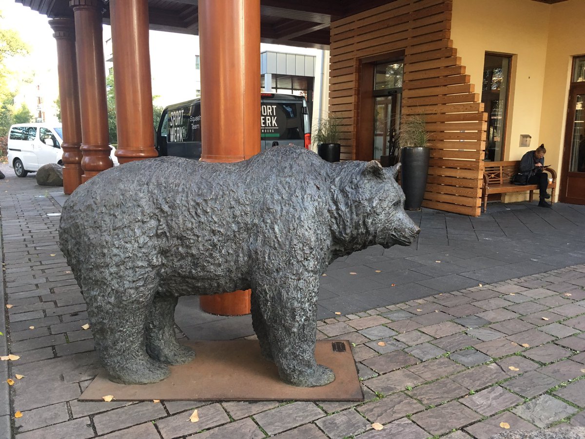 Great job by @Sportwerk_HH transporting players. Hotel lovely, zoo theme <a href="/SquashRhiwbina/">Rhiwbina Squash</a>