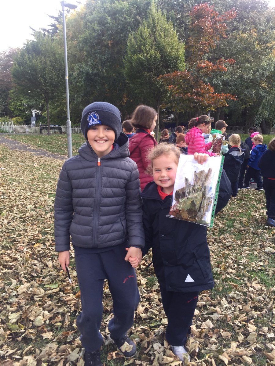 ScoilMologa's tweet photo. Aoibhinn beatha an scoláire! #Rang4 agus #NaíonáinBheaga amuigh sa pháirc ag bailliú duilleoga inné #LánagCrann #TreeDay https://t.co/wq48Y0pF56