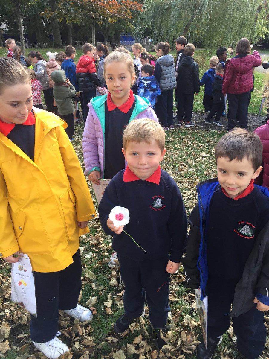 ScoilMologa's tweet photo. Aoibhinn beatha an scoláire! #Rang4 agus #NaíonáinBheaga amuigh sa pháirc ag bailliú duilleoga inné #LánagCrann #TreeDay https://t.co/wq48Y0pF56