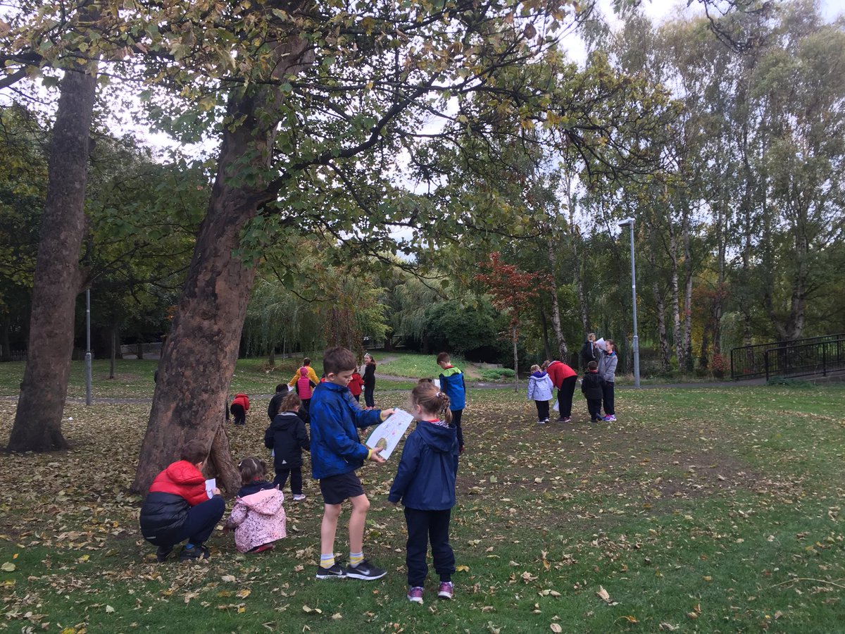 ScoilMologa's tweet photo. Aoibhinn beatha an scoláire! #Rang4 agus #NaíonáinBheaga amuigh sa pháirc ag bailliú duilleoga inné #LánagCrann #TreeDay https://t.co/wq48Y0pF56