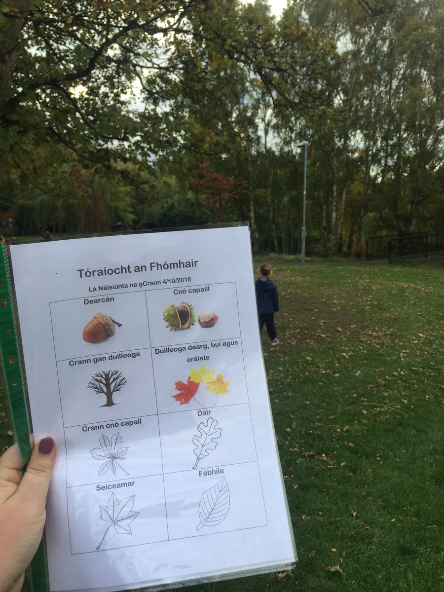 ScoilMologa's tweet photo. Aoibhinn beatha an scoláire! #Rang4 agus #NaíonáinBheaga amuigh sa pháirc ag bailliú duilleoga inné #LánagCrann #TreeDay https://t.co/wq48Y0pF56