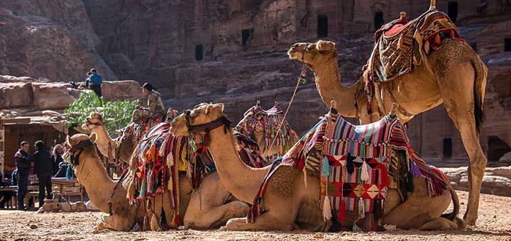 NewspaperTours's tweet photo. #Jordan Travel Guide
https://t.co/rE42kGyqJt https://t.co/d6ZsVBnb9b