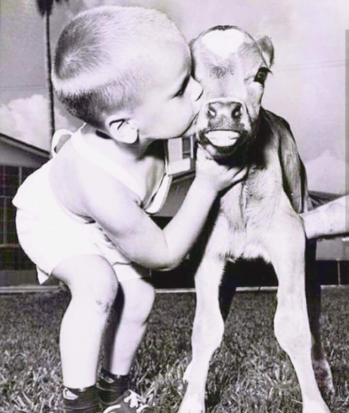 Yeminimiz Var Hayat!
Ne kadar inatlaşırsan inatlaş, 
Yine de seni en güzel 
Yerinden yakalayacağız…

(Nazım Hikmet)