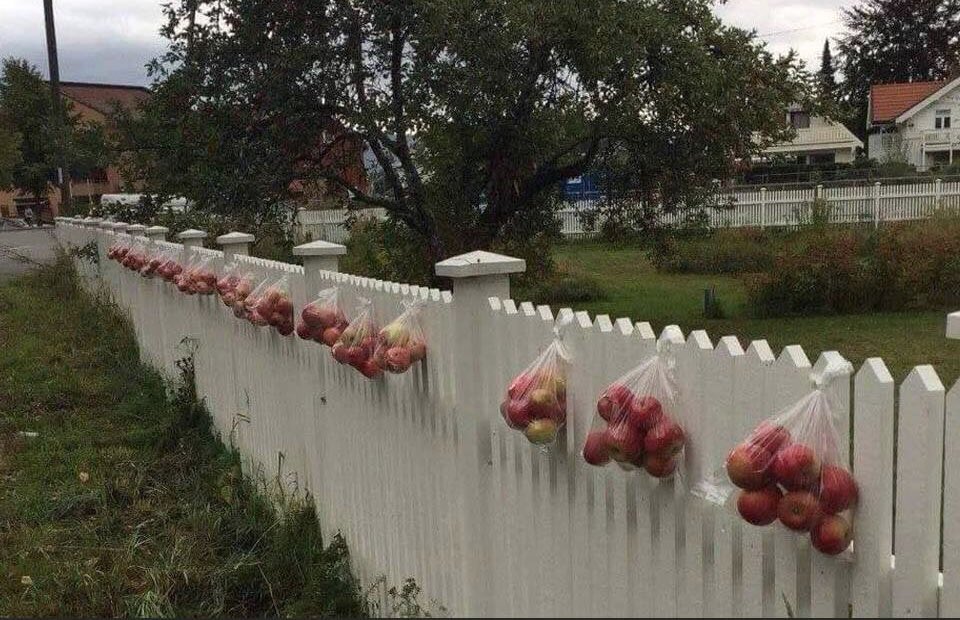 johannessengab1's tweet image. Norwegians trying to keep food waste down 👍