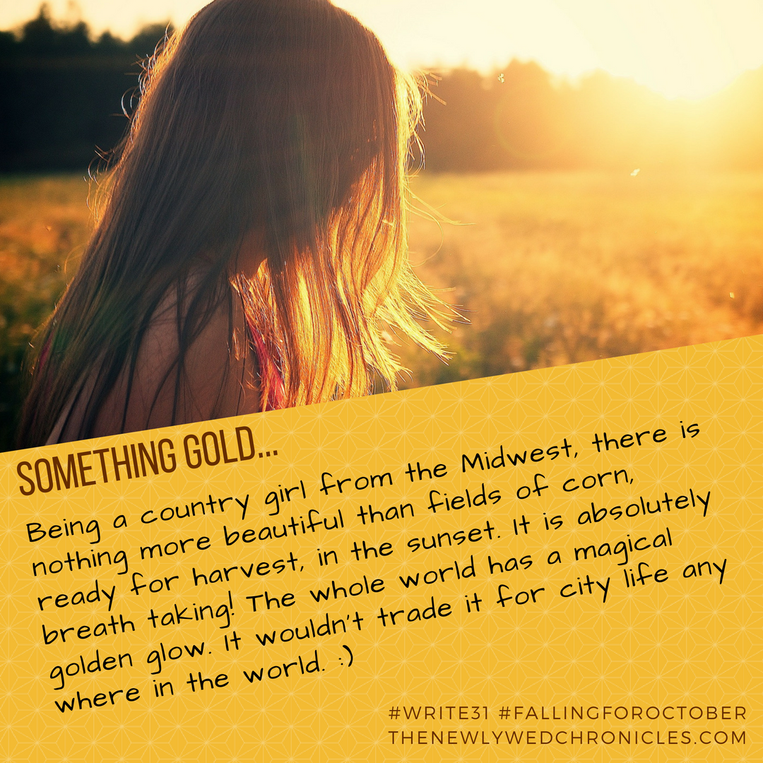 thenewlywedchr1's tweet photo. I am such a country girl at heart. Each season has its own wonders, but harvest is my favorite. #blogtober #write31 #fallingforfall #dayfive #somethinggold #fallingforoctober #harvestseason #country_girls https://t.co/vG6FRuSNk3