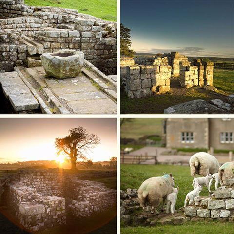 WallTogether's tweet image. What can I say ...just couldn't agree more ....but then we live here all the time ...but happy to share if you want to pop up to stay with us !