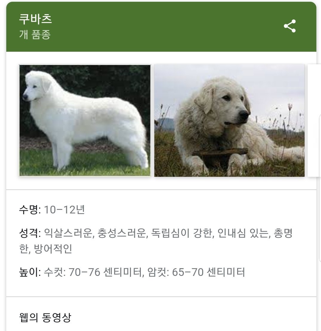 zzo_nyang's tweet photo. 이건 그냥 근식이잖아!! https://t.co/bBnJz8Qj8v