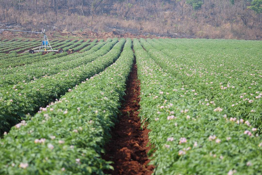 This is serious business!