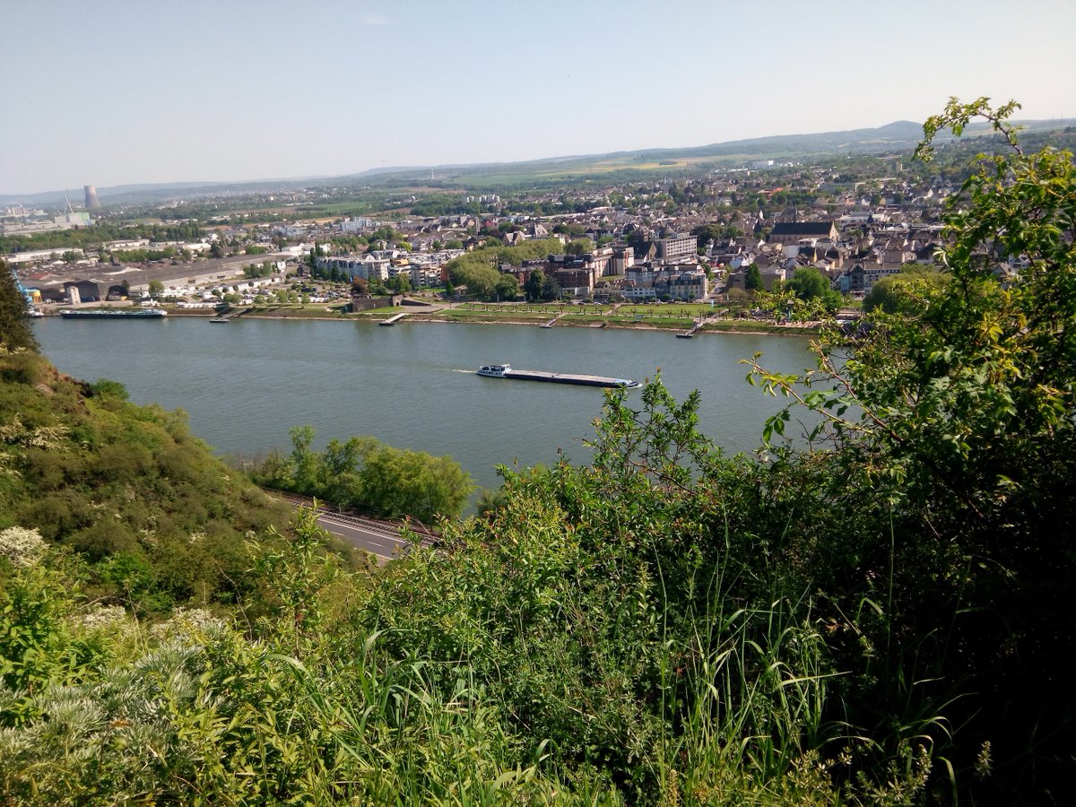 wanderflaneur's tweet photo. @PP_Baum @DowJones1959 @NRFeldkirchen stimmt schon "auch"..)) #Mittelrheintal #rlpErleben #Rheinsteig #Irlich #Feldkirchen https://t.co/rcnni6B8J3