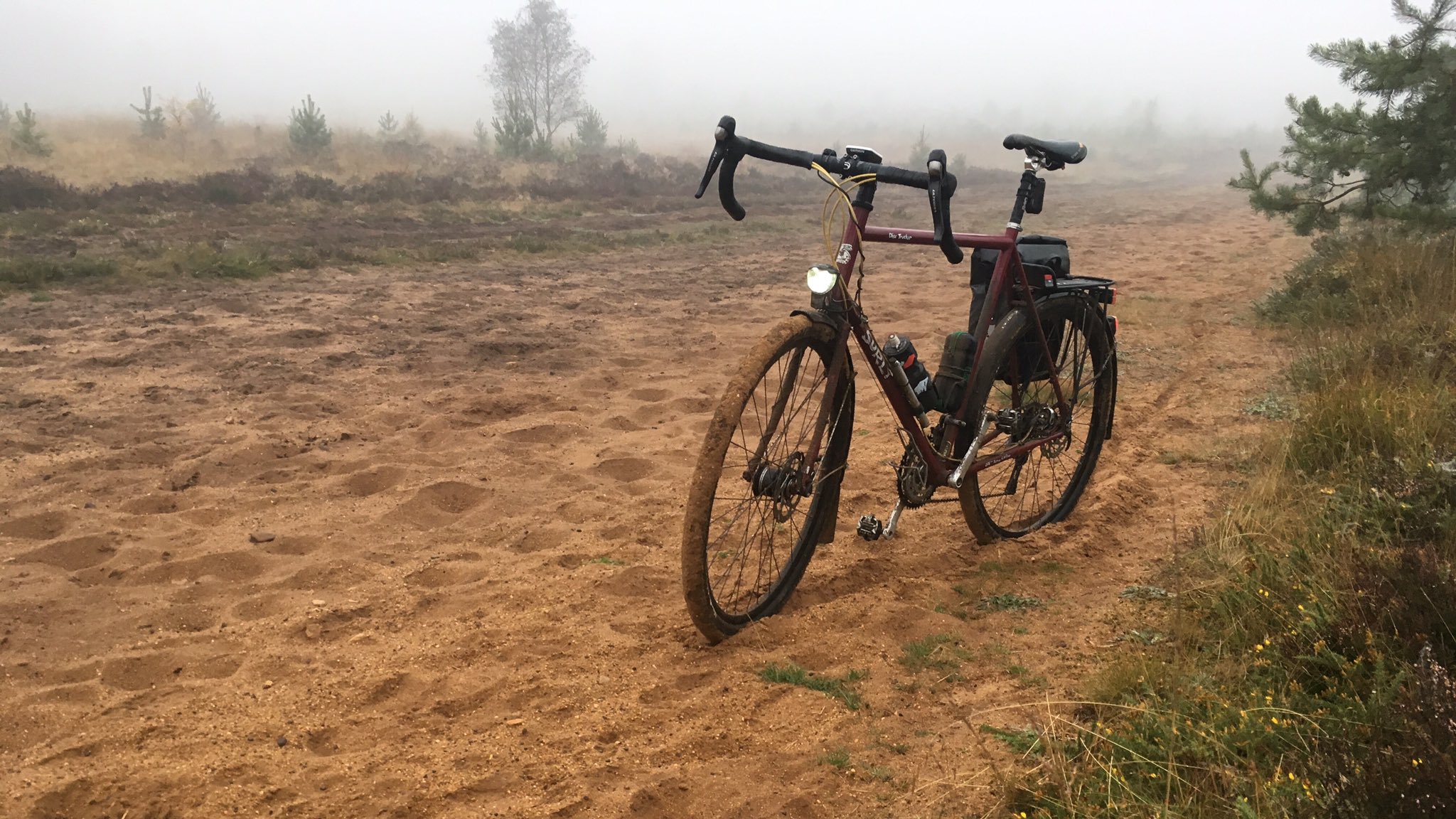 Genesis vagabond for sale cheap