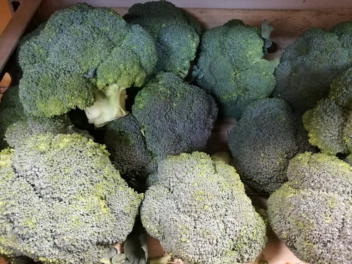 5adayFresh's tweet photo. #cauliflowerromanesco #chineseleaf #broccoli #tenderstem #eatgreen #eathealthy #freshcooking #freshveg #yourgreengrocer #Stalybridge #Cheshire #Tameside #shoplocal #LoveYourTown πππππ https://t.co/7KbCK9YYx5