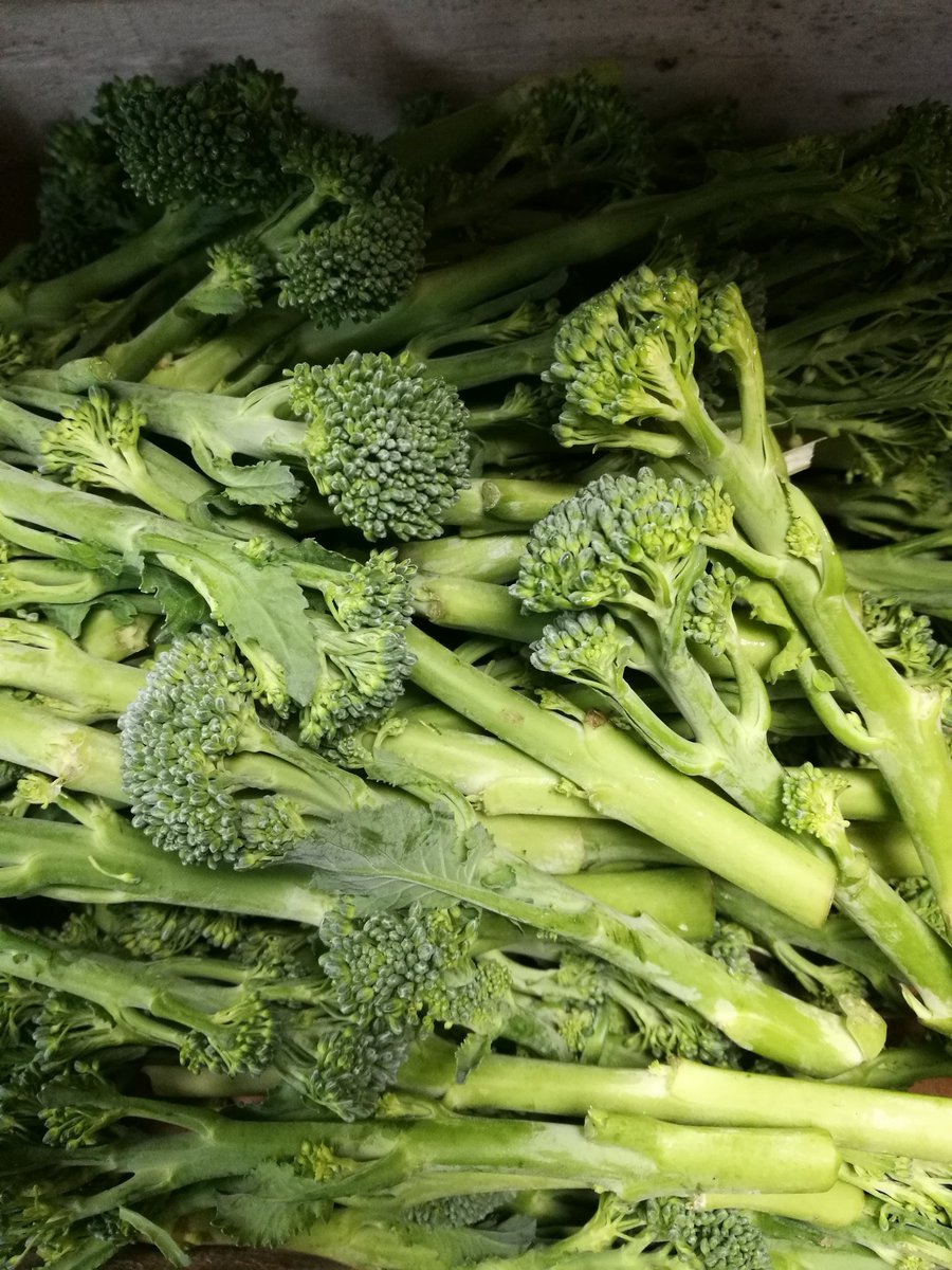 5adayFresh's tweet photo. #cauliflowerromanesco #chineseleaf #broccoli #tenderstem #eatgreen #eathealthy #freshcooking #freshveg #yourgreengrocer #Stalybridge #Cheshire #Tameside #shoplocal #LoveYourTown πππππ https://t.co/7KbCK9YYx5