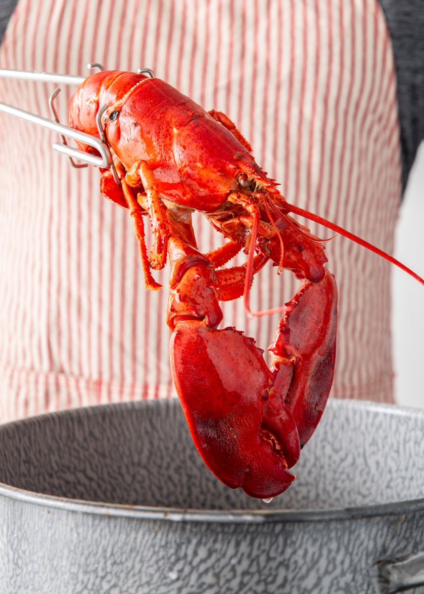 We made it through another week! This claws for a celebration.