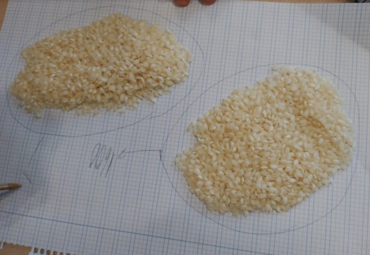 pbeltranp's tweet photo. Estimación, necesidad de precisión en la medida, técnicas para estimar mejor, operaciones con naturales e iniciación a la proporcionalidad en mi grupo de 1ºESO de #Matemáticas. Solo con arroz, ¿qué más se puede pedir?
Inspirado en https://t.co/j7nixLzaJ0
#AcRiMates
Abro hilo🔽 https://t.co/JDEK1rWqGh