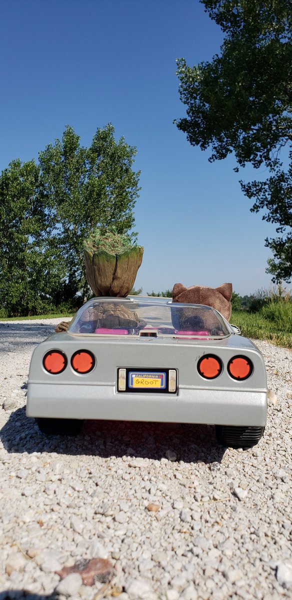 MyBabyGroot's tweet photo. I am Groot!
#FridayNightWithFriends
#GrootAndRocket
#SilverVette
#groot #babygroot #iamgroot #wearegroot #twig #guardians #guardiansofthegalaxy #guardiansofthegalaxyvol2 #avengersinfinitywar #gotg #gotg2 #marvel #disney #stickpic #instagroot #barbie #RocketRaccoon https://t.co/eHDQ7mMyMZ