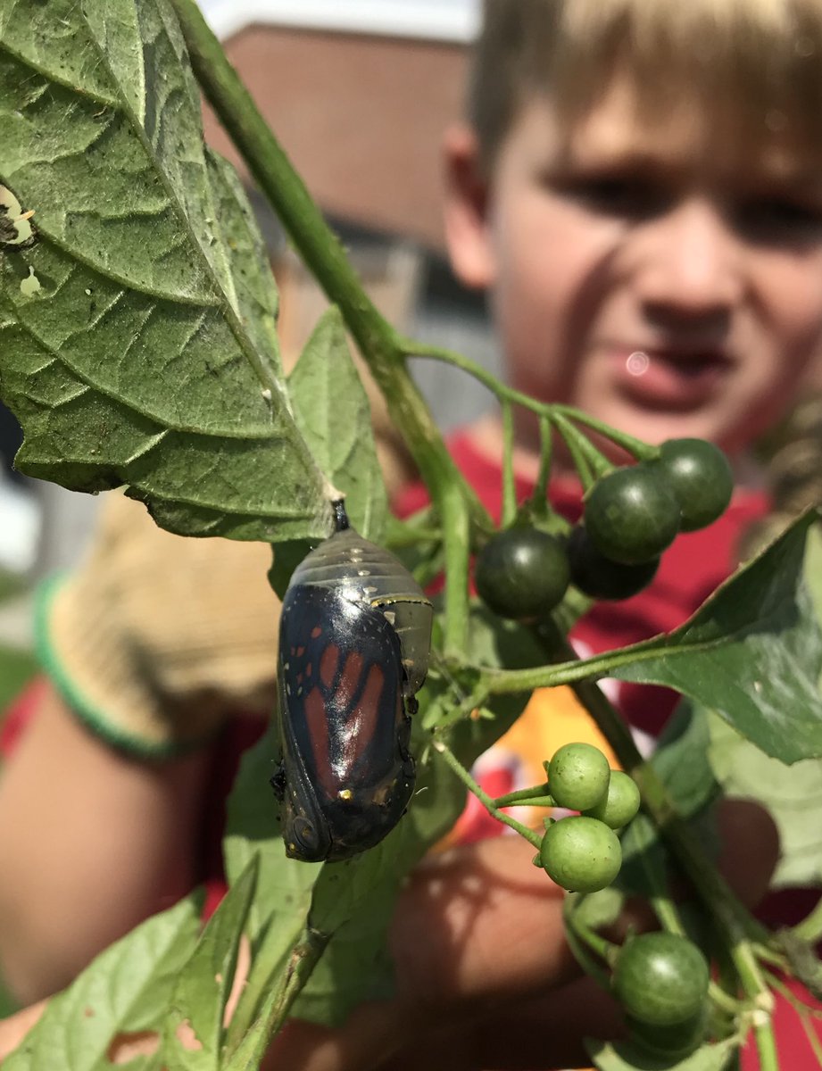 SoutholdScience's tweet photo. Amazing what a garden scavenger hunt turns up @southoldelem https://t.co/tj2gkjvEmb