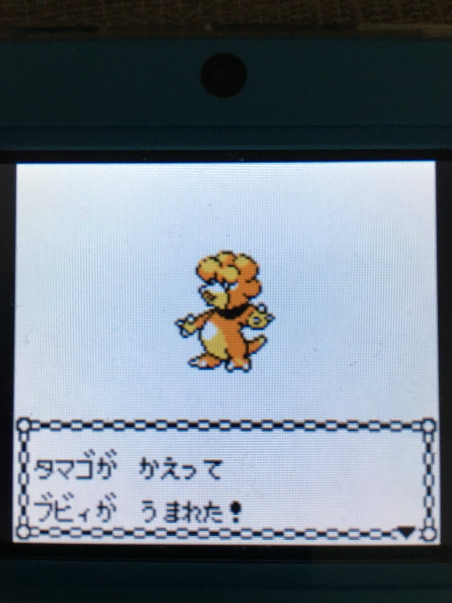 色違いポケモン紹介 Vc産ブビィ 自由に生きてあそblog