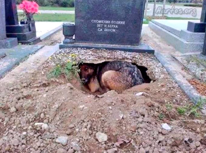 Dov60eLU8AADhV2.jpg:large