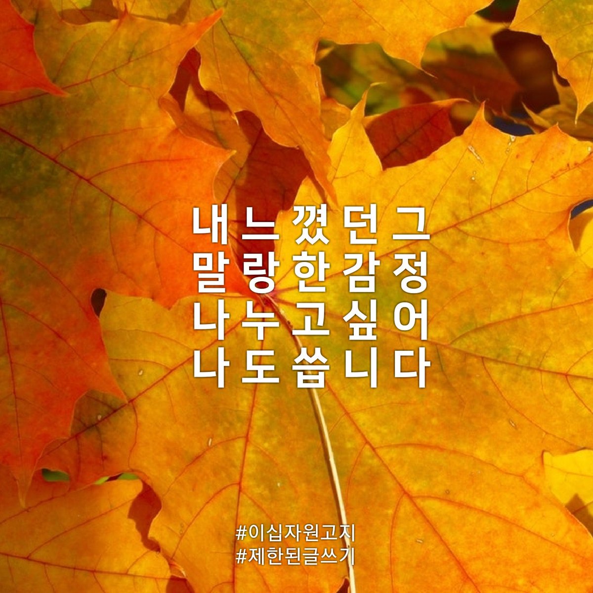 감 사 합 니 다

#제한된글쓰기 
#이십자원고지