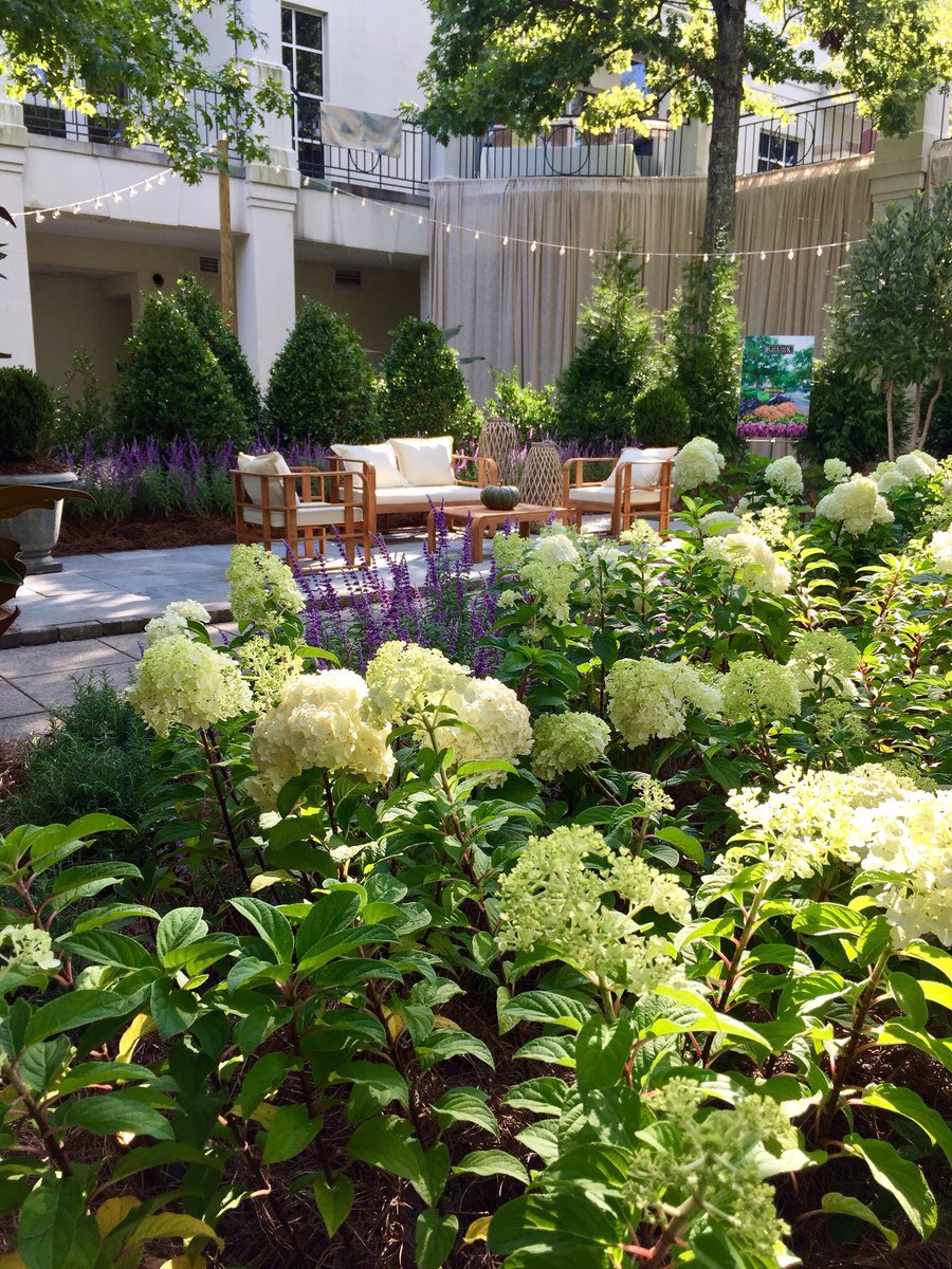 BlackjackHort's tweet photo. Ladies and Gents, today's the day! Antiques at the Gardens opens this morning and we're still enamored with the purples and greens in our entryway display. Come see for yourself! 💜💚 https://t.co/WDvO3o6P1p