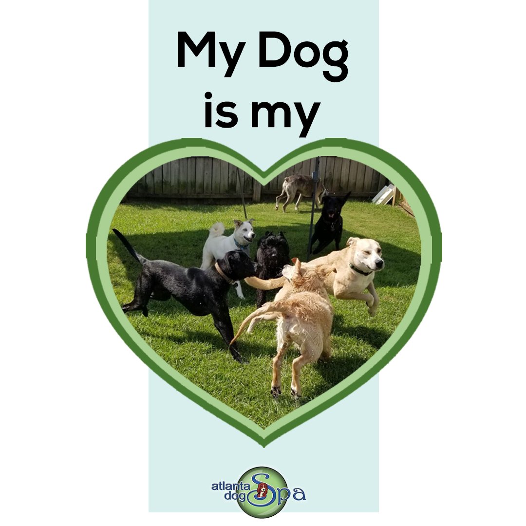AtlantaDogSpa's tweet photo. My dog is my 💗! What about you?
#DogsAreLove #AtlantaDogSpa https://t.co/rg9rFkWZcq