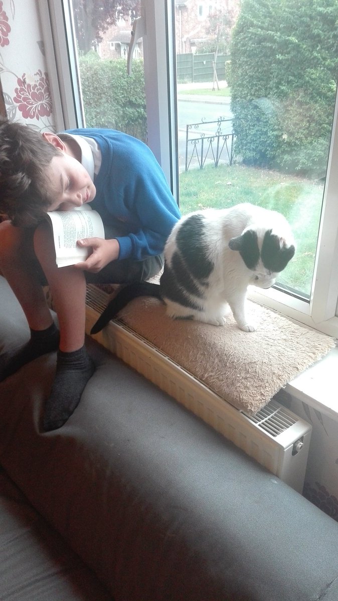 EmilyC_S's tweet image. @SomersPark5ZM The cat wasn't in the mood for stories this morning, especially after multiple attempts to hold him by the book!! #readingrocket #readwithapet