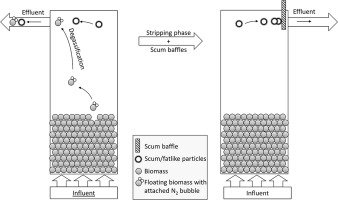 WaterRes_J's tweet photo. What are the main processes contributing to elevated effluent #suspendedsolids in the full-scale #aerobicgranularsludge process? https://t.co/hp62vilfrs https://t.co/3WsMvXxyHC