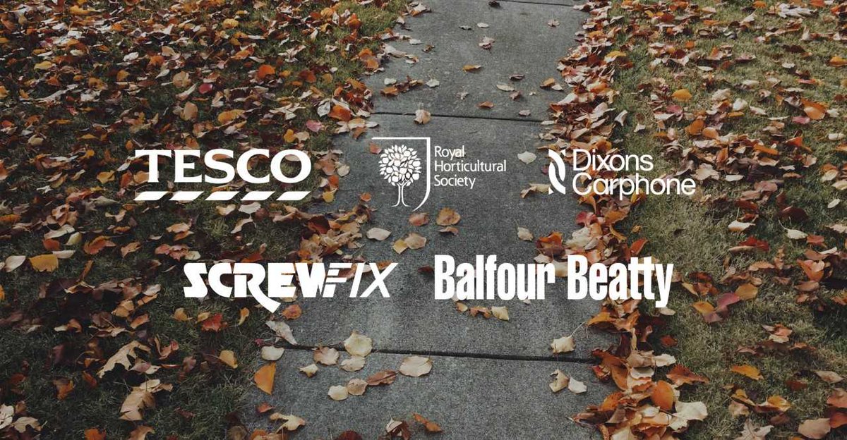 Here's the latest career opportunities waiting for you this October! loom.ly/CNgBrWc 🍂🎃 🌰