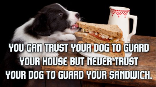 InterestingEating Co tweet media