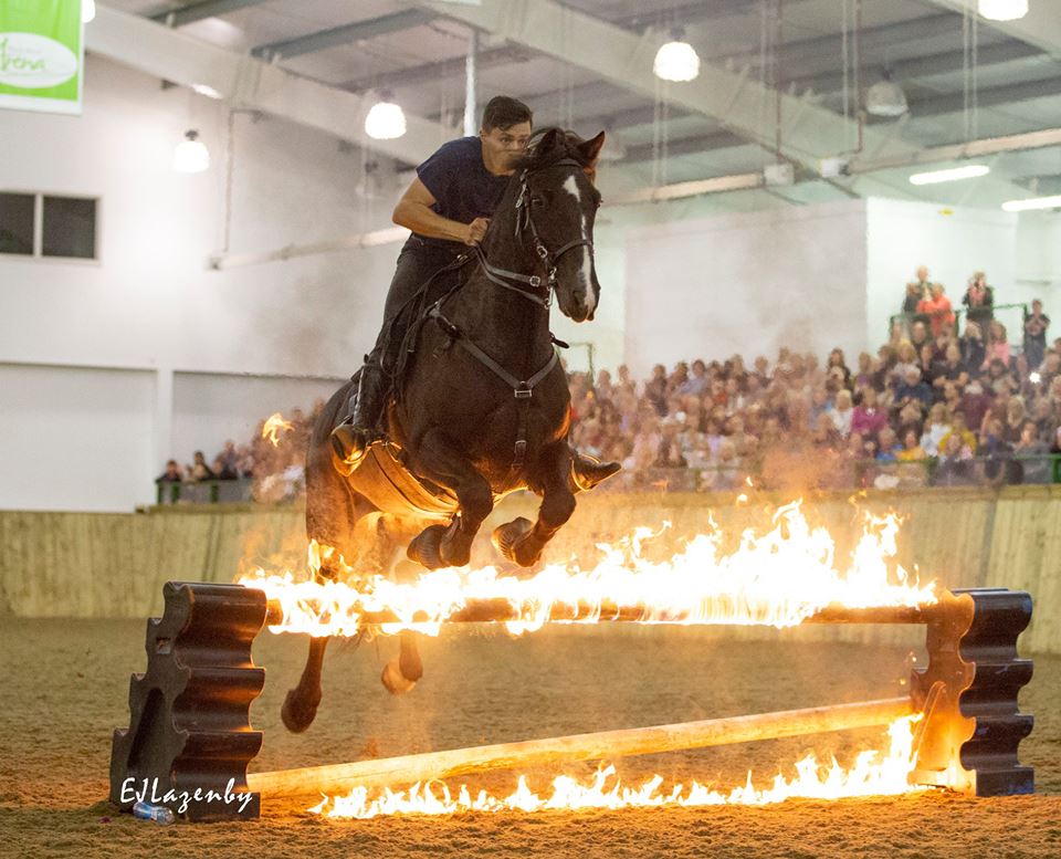 BishopBurtonCollege (@bishopburton) on Twitter photo What a night at <a href="/BishopBurtonEqu/">Bishop Burton Equine</a>! Ex Bishop Burton student Ben Atkinson and the <a href="/TheActionHorses/">AtkinsonActionHorses</a> team put on a spectacular demonstration yesterday! 🔥 What a night at <a href="/BishopBurtonEqu/">Bishop Burton Equine</a>! Ex Bishop Burton student Ben Atkinson and the <a href="/TheActionHorses/">AtkinsonActionHorses</a> team put on a spectacular demonstration yesterday! 🔥