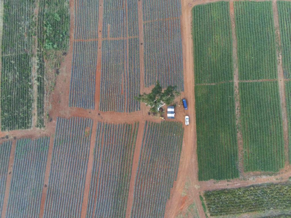 Live from #Ghana! Flight planning session during the #UAV Pilots' training hosted by <a href="/DAEE_UCC/">Dpt of Agricultural Economics & Extension,UCC 🇬🇭</a> with <a href="/CTAflash/">CTA</a>!
#AfGoesDigital #Drones4AG <a href="/iapad/">Giacomo Rambaldi</a>