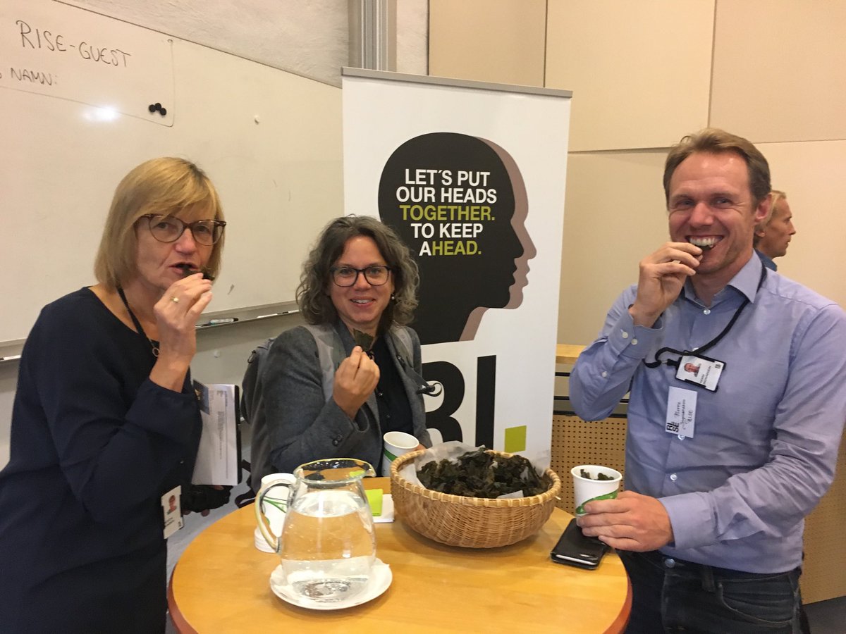 Today internal maritime day <a href="/RISEsweden/">RISE</a> (56 participants!) Internal and external colleagues tasting dried&amp; roasted sugar kelp by @Superwoman_1_