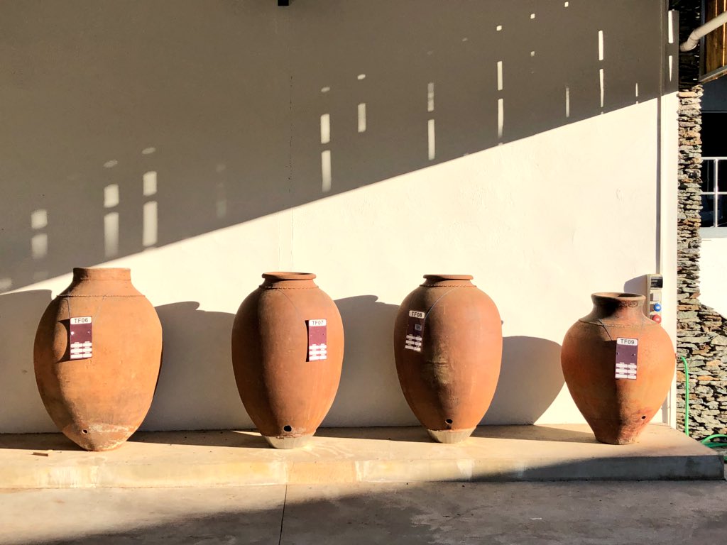 A growing collection of old amphoras (some dating back to 1800) <a href="/cortesdecima/">cortesdecima</a>. Talha wine (a 2000 year old Alentejo tradition) is definitely coming back. Some very examples out in the market already! #winespots #alentejo