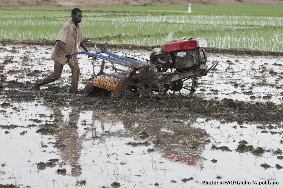 FAOnews's tweet image. .@FAO and @_AfricanUnion launched a new framework document aiming at boosting farm👨‍🌾👩‍🌾 productivity in #Africa through the sustainable use of machines🚜.

#COAG26 #ZeroHunger ow.ly/hiTQ30m6Z9H