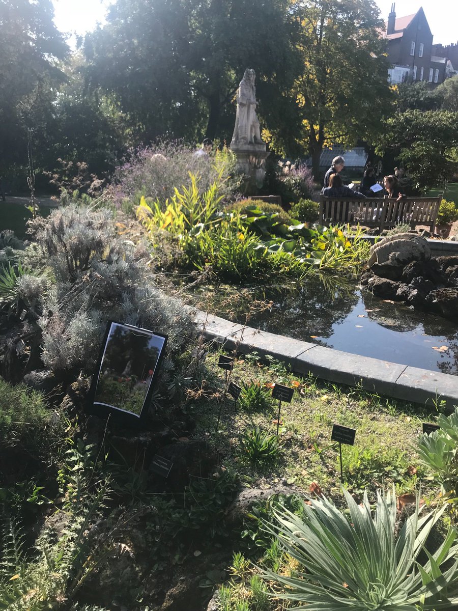 TopHatsHPL's tweet photo. The sun is shining and we are halfway through our tour slot! Hurry down to @ChelsPhysicGdn before 2 to hear our #militarymedicine guided tour! We are wearing red! https://t.co/gTJYJn1l4i