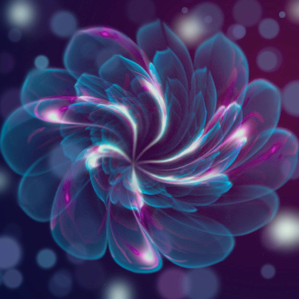 bymiraminerva's tweet photo. Wallpaper background fantasy with fractal flowers on turquoise purple and lights
https://t.co/RQSQHjglFb
#wallpapers #background #fractalflower #flowersfantasy #turquoise #purple #turquoiseflower #abstractflower https://t.co/gc0yXCy3VO