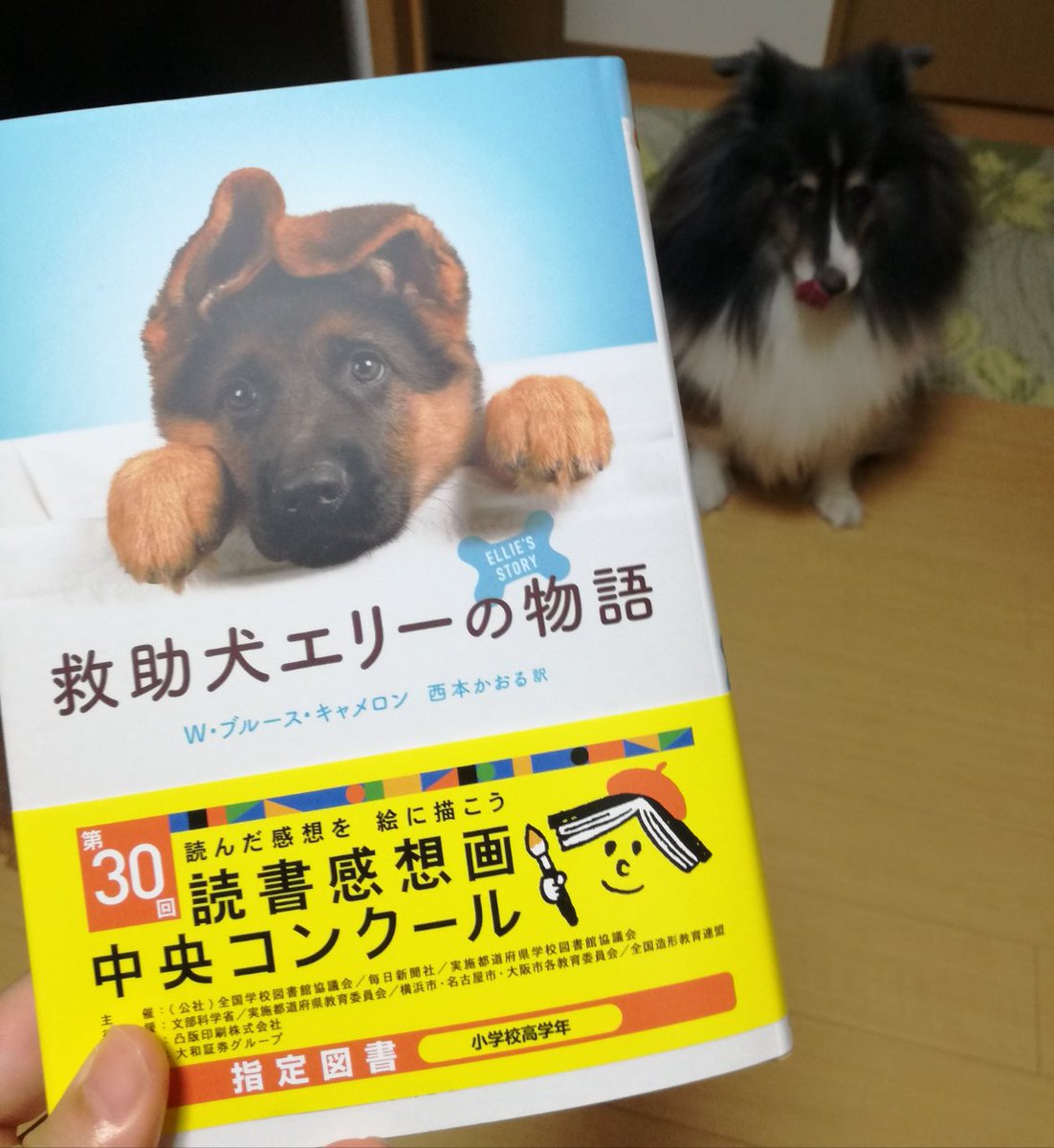 西本かおる Kaoru Nishimoto No Twitter 救助犬エリーの物語 小峰書店 3刷り決まったそうです ありがとうございます 感想画コンクールの小学高学年の指定図書ですが 犬好き大人にも楽しんでいただける本です 犬のエリーが自分が生まれてから老後までを