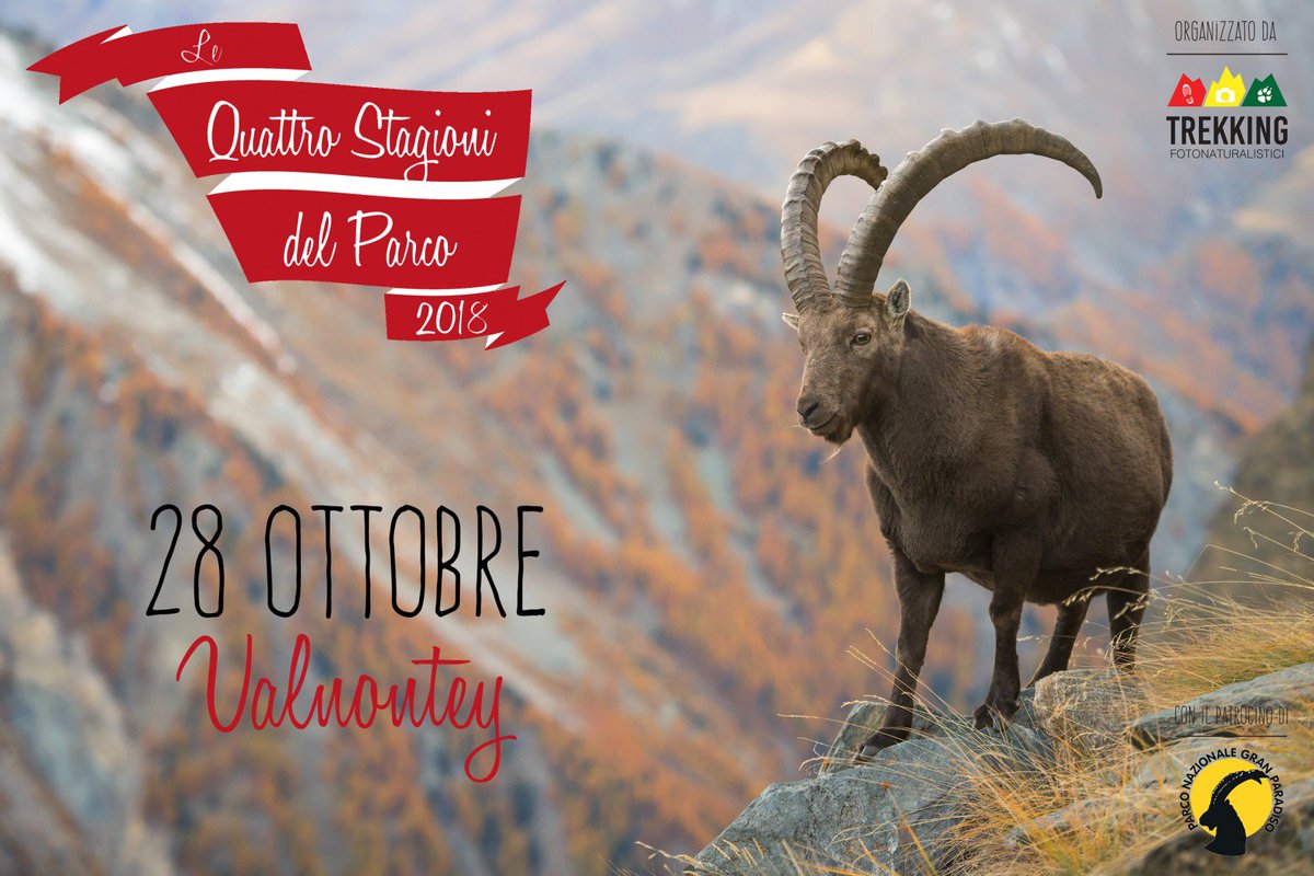 Domenica 28 ottobre ultimo appuntamento del 2018 con i Trekking FotoNaturalistici nel Parco, fotografare i colori dell'autunno in #Valnontey è un'esperienza da non perdere!📷🍂
➡️pngp.it/trekking-foton…