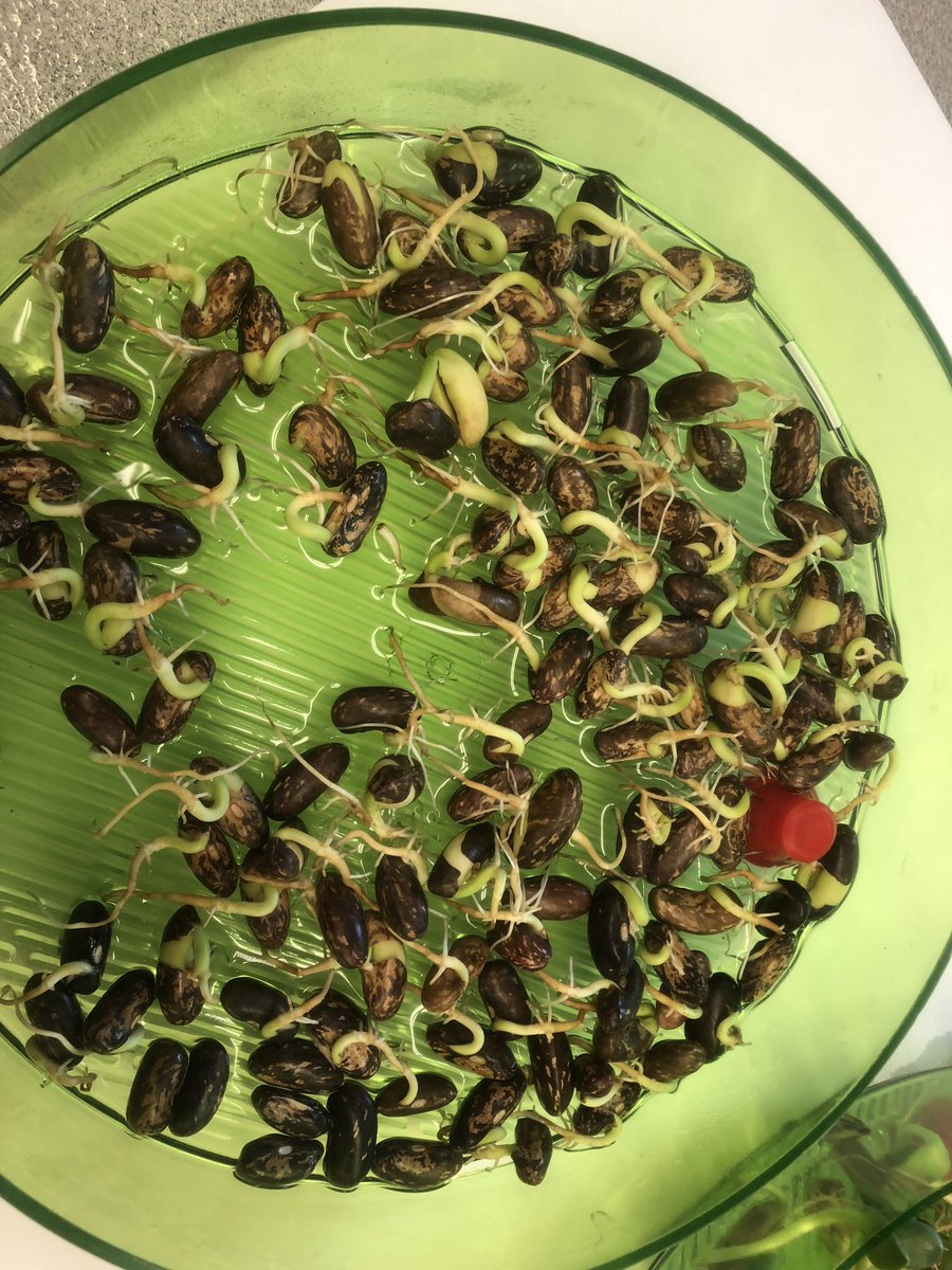 Jennifer L Traversone tweet media