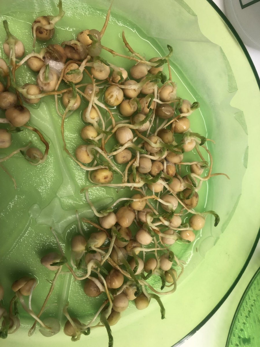 Jennifer L Traversone tweet media