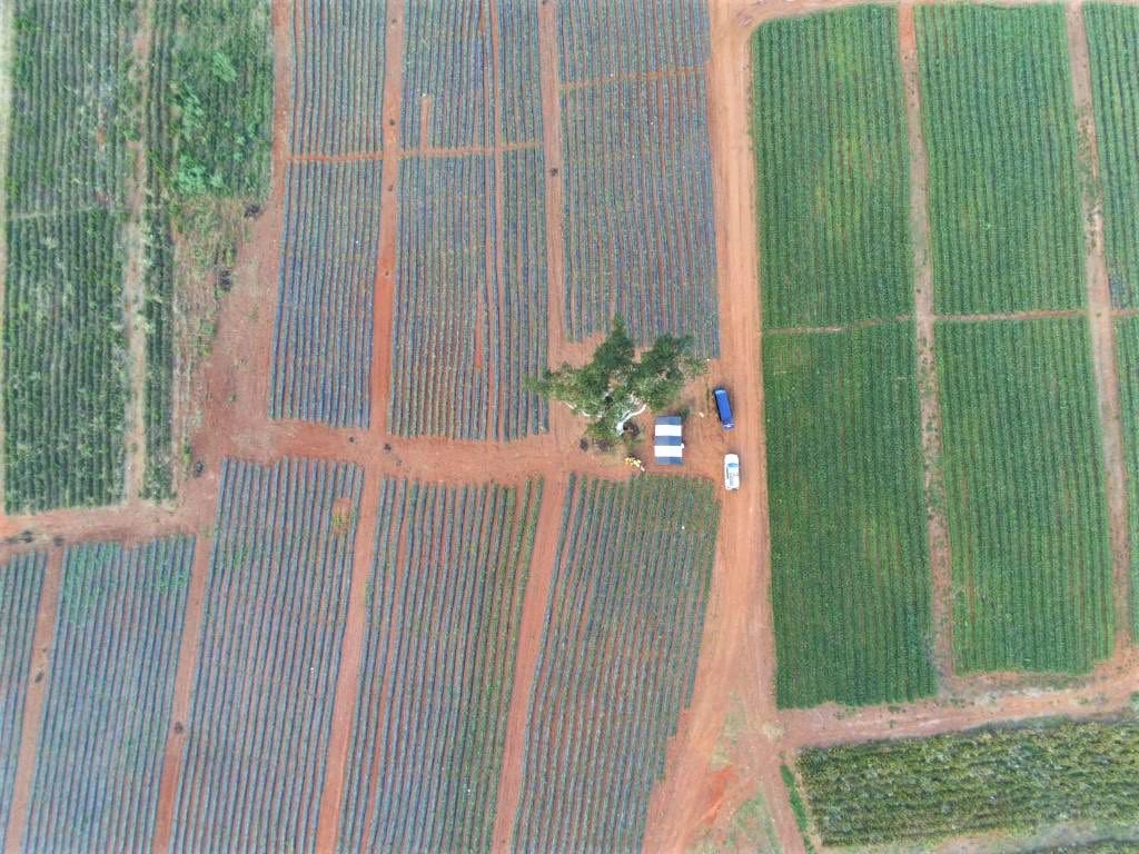 Drones for Agriculture tweet media