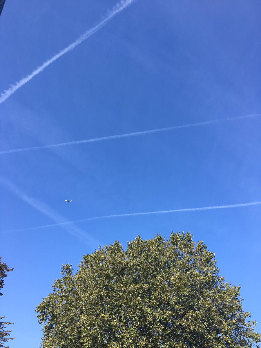 concrete collar tweet media