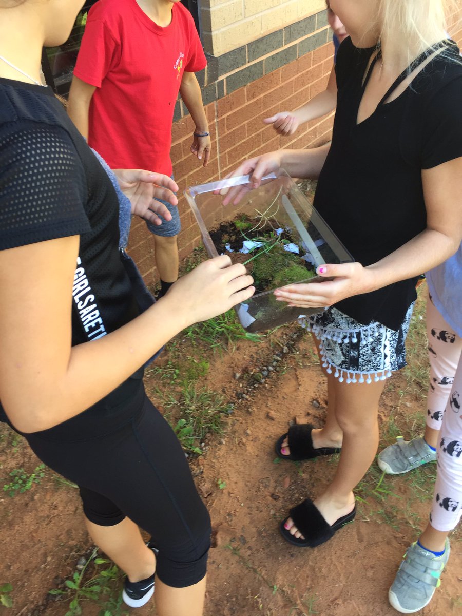 Earnse_Shop's tweet photo. Ss decomposition projects. Storyline, inquiry, & object learning = Ss engagement & excitement. AHAโs: fruit in sealed jar never decomposed after 5 weeks. Grapes in open jar w/ baggie had mold & liquid water. #TII2018 https://t.co/kMSORLNl31