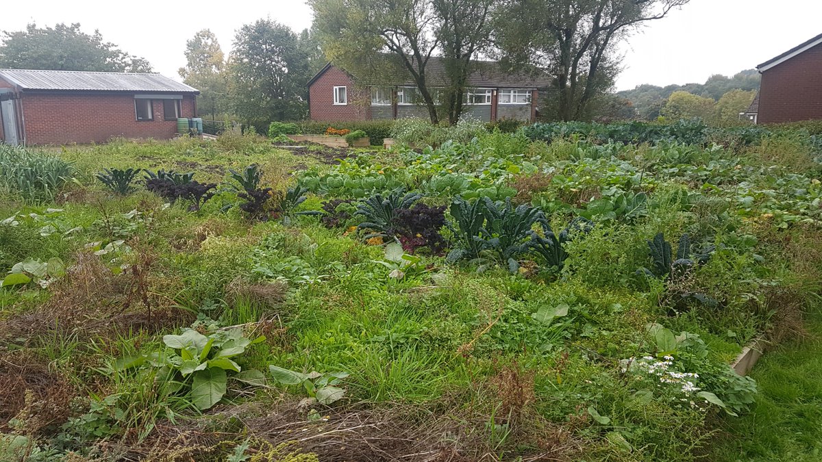 oldhamnetwork's tweet photo. Brilliant #GetOldhamGrowing meeting at Lees Eco Hub today - inspiring growing hub in #Oldham & fantastic ideas for the upcoming #YearOfFood celebrating food across the borough. Delicious local and fresh fruit and veg smoothie too! #GrowingOldhamFeedingAmbition https://t.co/2jlRgusRSb